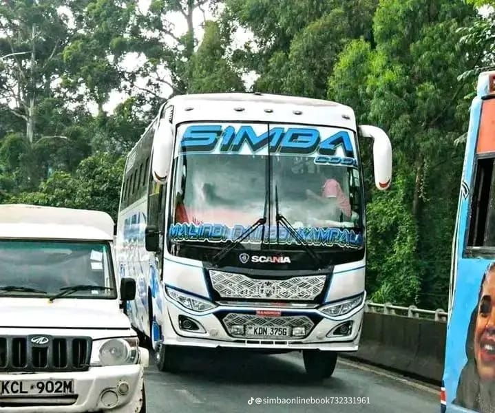Navigator β VIP White Simba Coach bus
